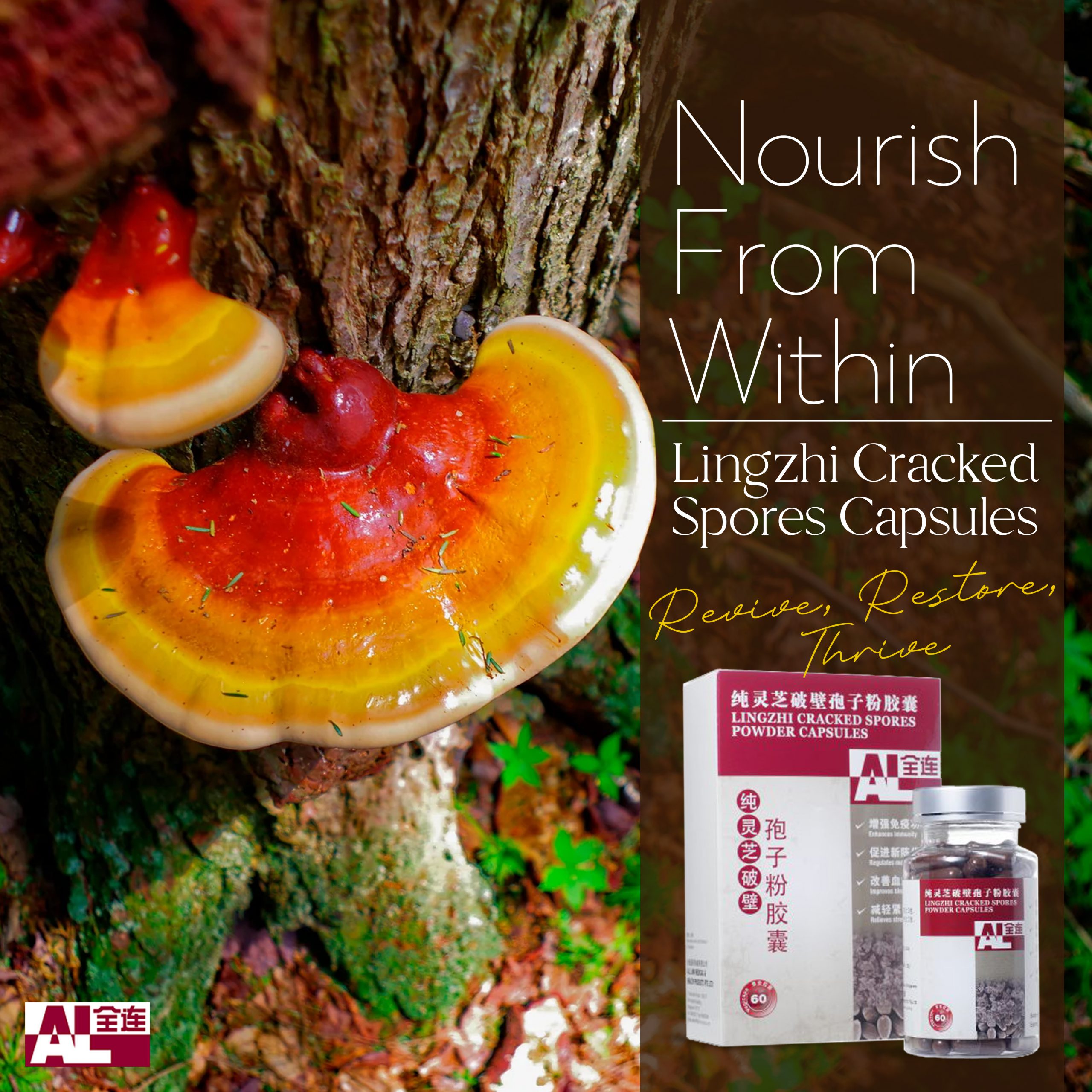 Nourish from Within Lingzhi Cracked Spores Capsules - Revive, Restore, Thrive